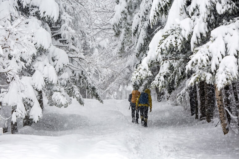 5 winter destinations in Asia where you can experience snow • PhilSTAR Life